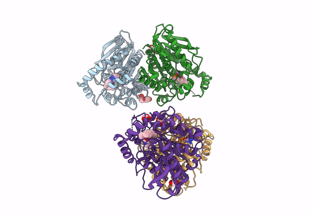 8PC7 image