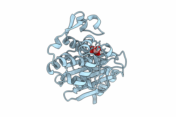 8PCG image