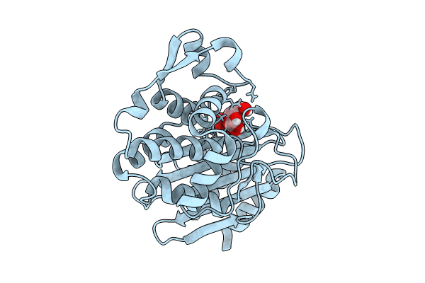 8PCL image