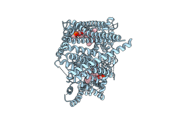 8PD0 image
