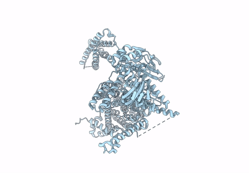 8PD3 image