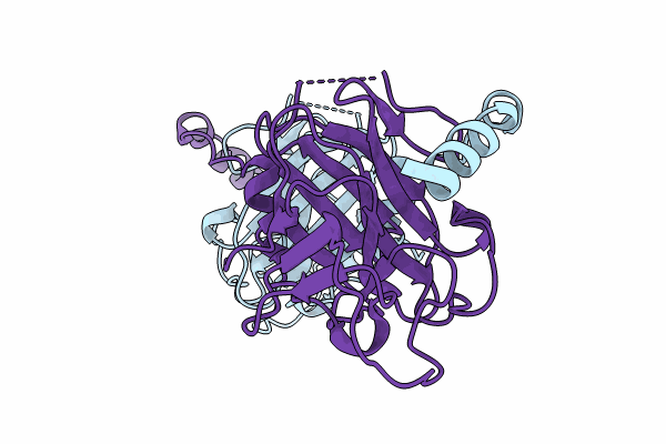 8PD4 image
