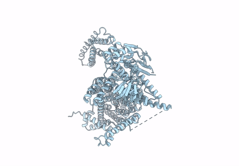 8PD5 image