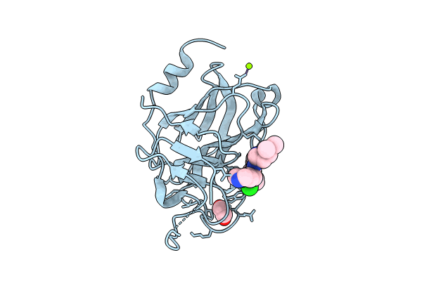 8PD6 image