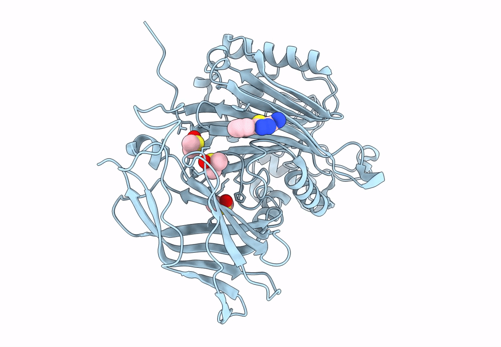 8PDI image