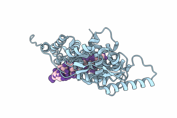8PDM image