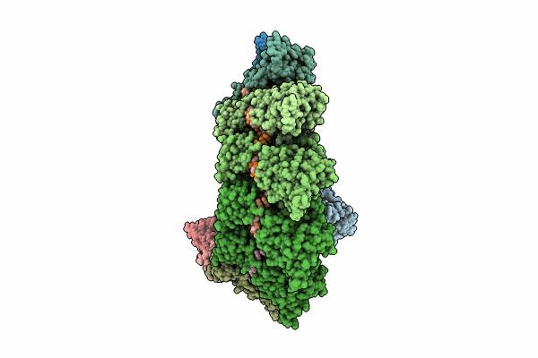 8PDN image