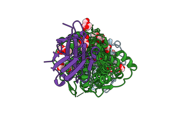 8PE1 image