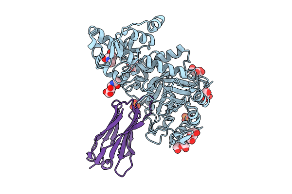 8PE2 image