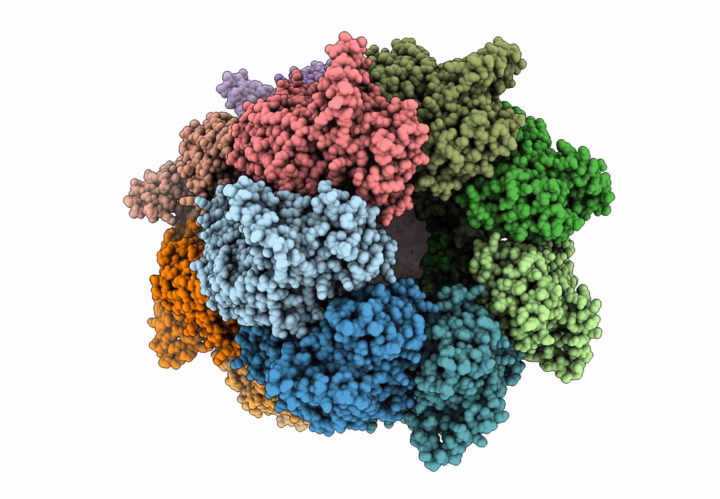 8PE8 image
