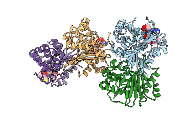 8PEC image