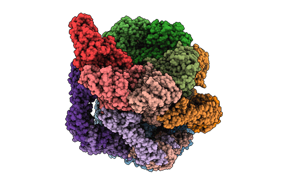 8PEX image