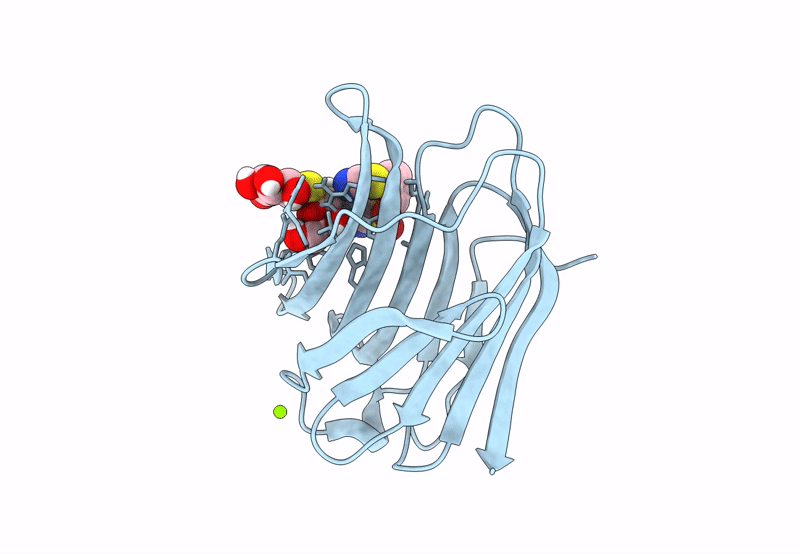 8PFF image