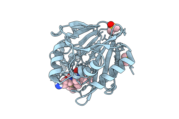 8PGE image