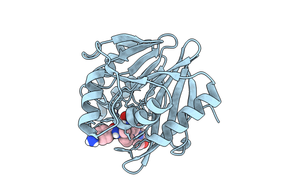 8PGF image