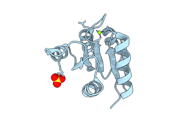 8PHN image