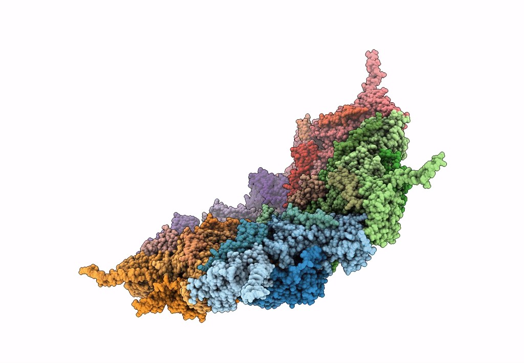 8PHR image