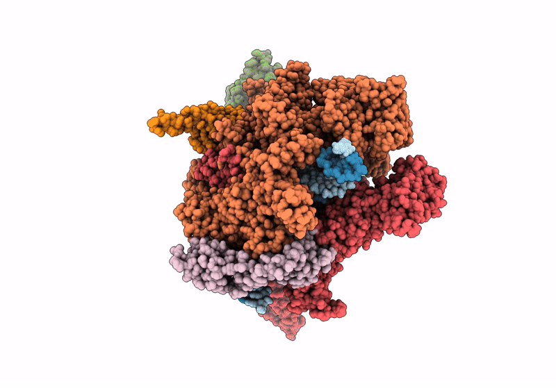8PID image