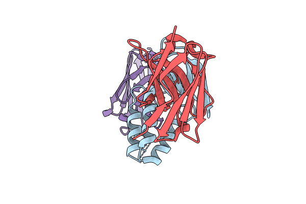 8PIH image