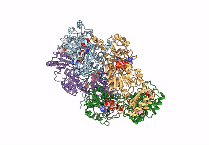 8PIR image
