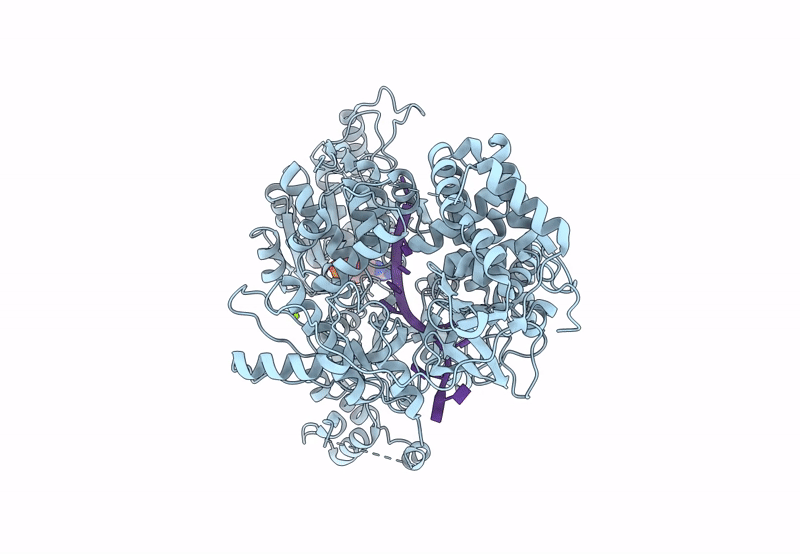 8PJB image