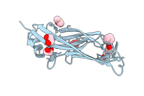 8PJI image