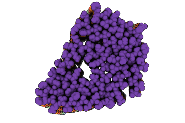8PKE image