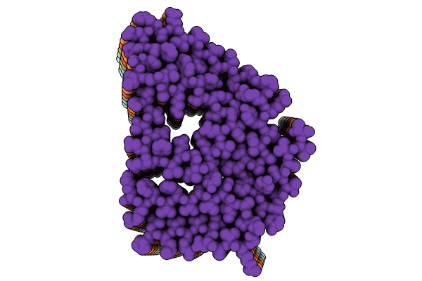 8PKF image