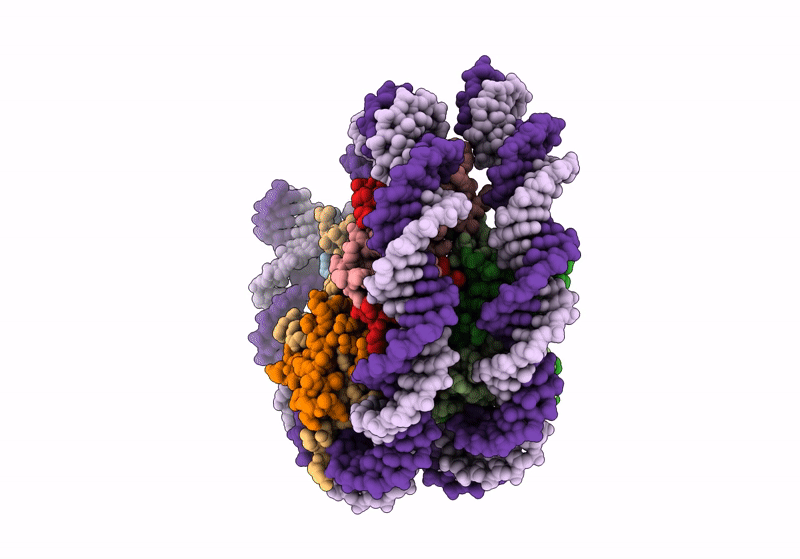 8PKJ image
