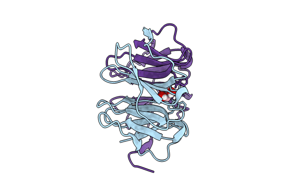 8PKR image