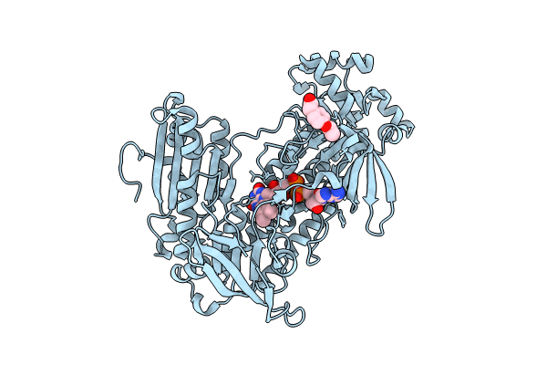 8PLG image