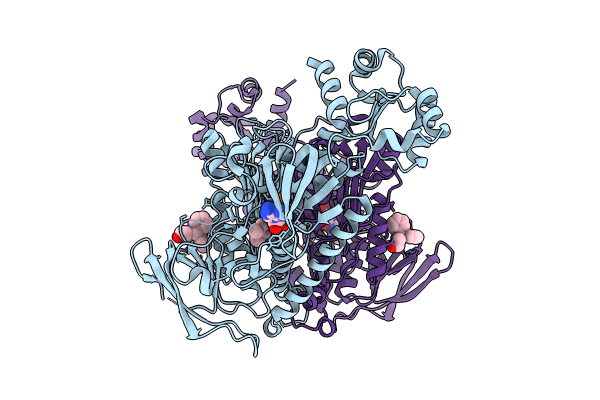 8PLV image