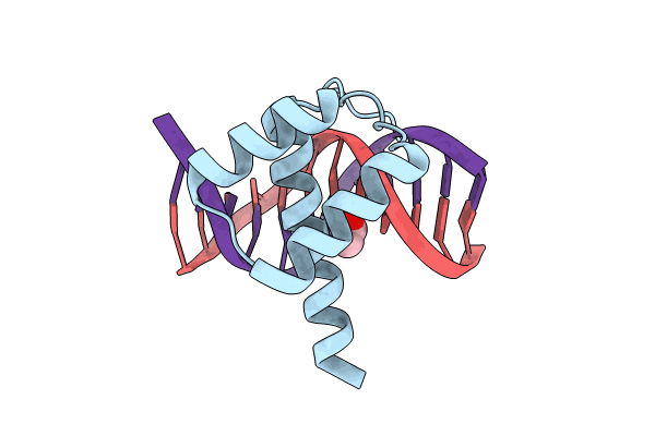 8PNA image