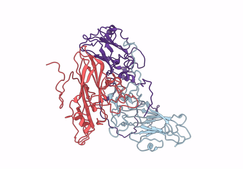 8PNB image