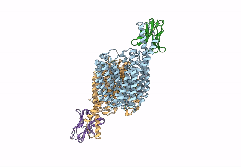 8PNL image
