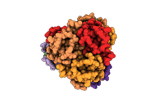 8PNV image