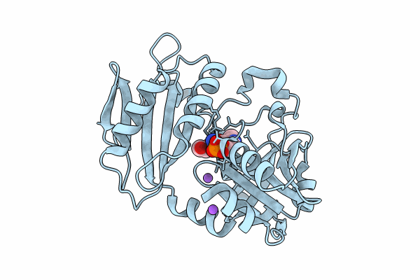 8PNX image
