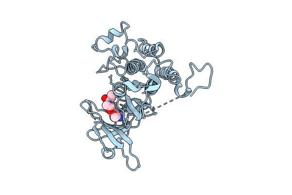 8PO0 image