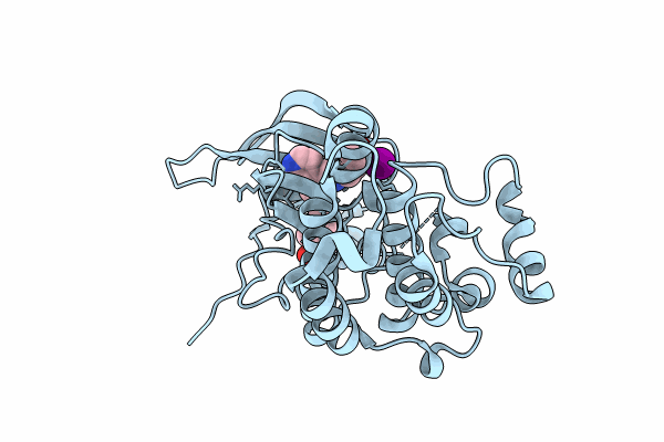 8PO1 image