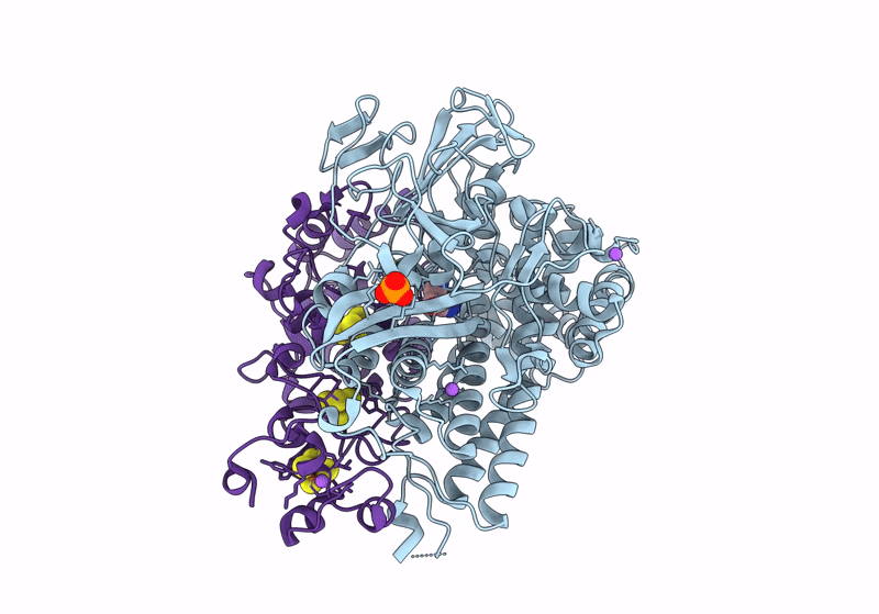 8POX image