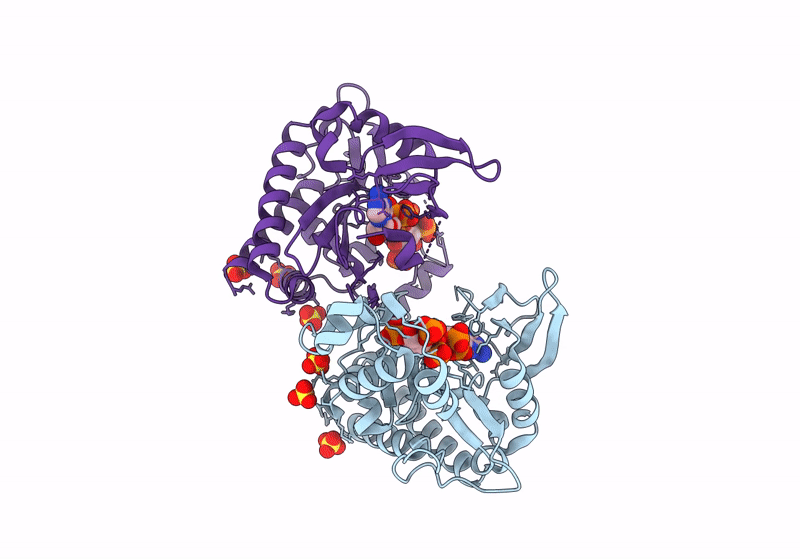 8PP9 image