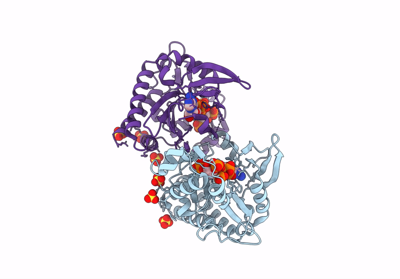 8PPB image