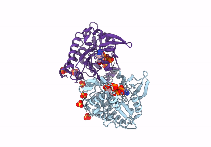 8PPH image