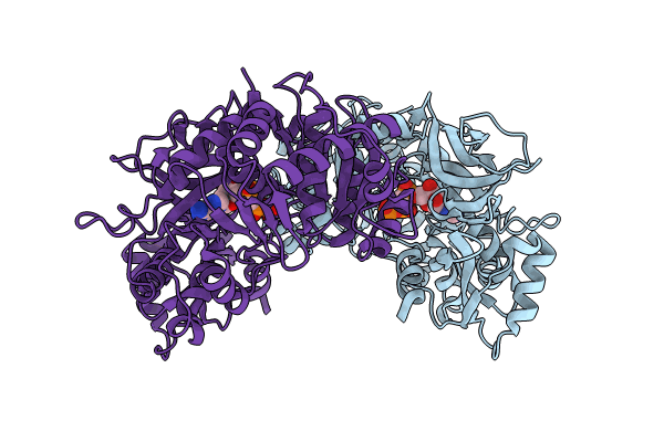 8PPP image
