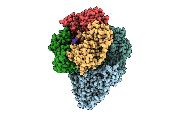 8PPU image