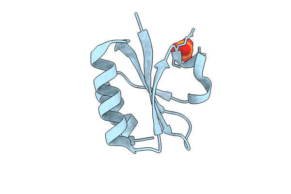 8PU2 image