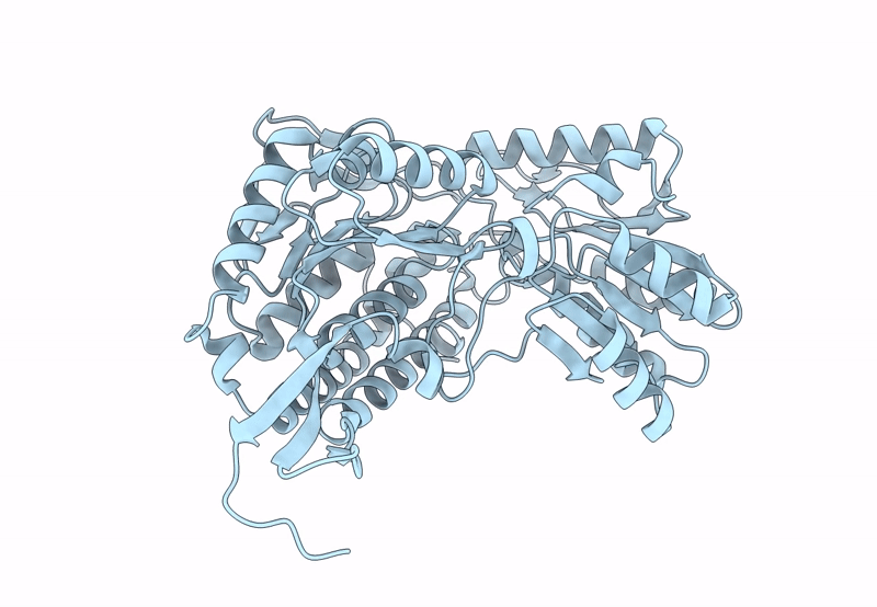 8PVH image