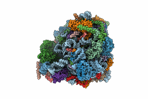 8PVK image