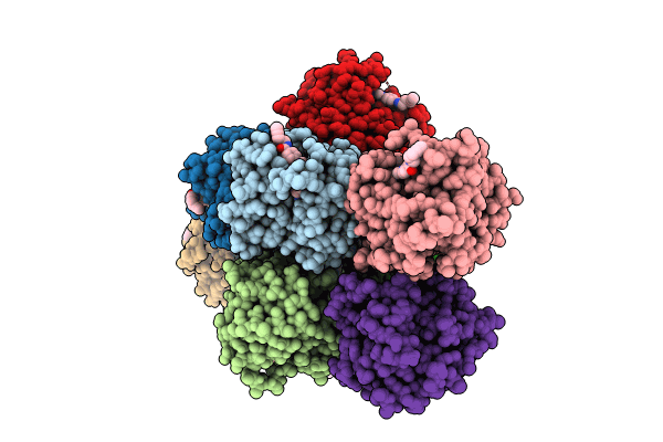 8PW1 image