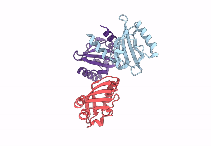 8PX4 image